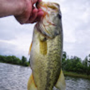 Meet your Posher, Keith